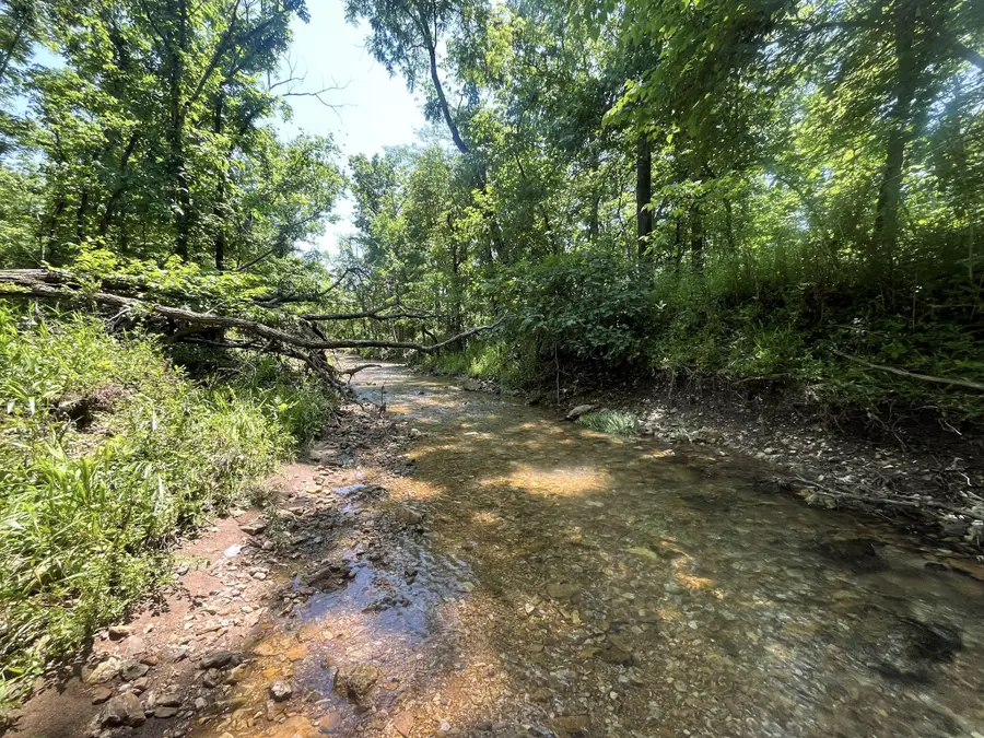 926 Summit Road, Grovespring, MO 65662 - #2