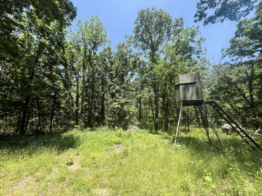 926 Summit Road, Grovespring, MO 65662 - #3