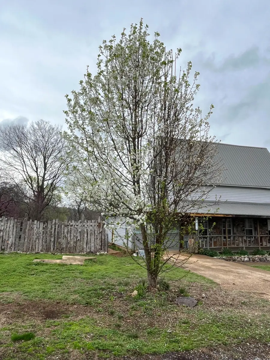 695 Summit Avenue, Mammoth Spring, AR 72554 - #3