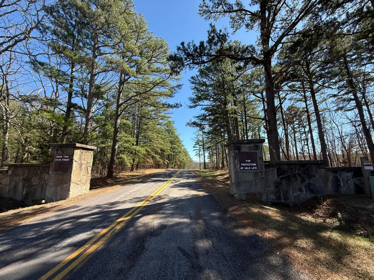 571 Private Lane 405, Salem, MO 65560 - #1