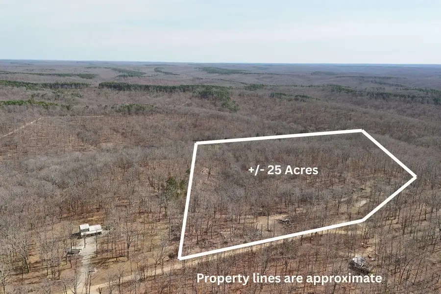 571 Private Lane 405, Salem, MO 65560 - #2