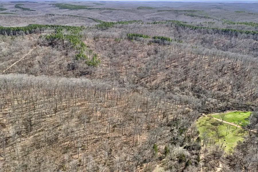 571 Private Lane 405, Salem, MO 65560 - #3