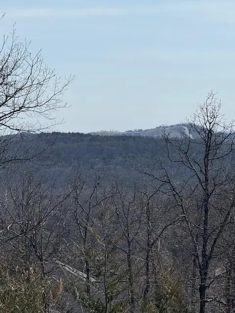 644 Timberland Trail, Branson, MO 65616