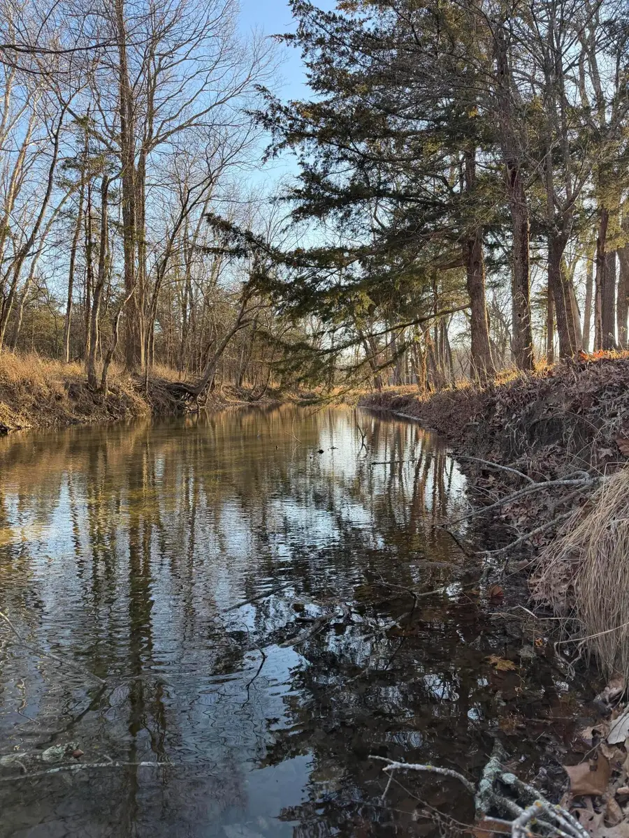 000 SE Hwy Uu, Collins, MO 64738 - #2