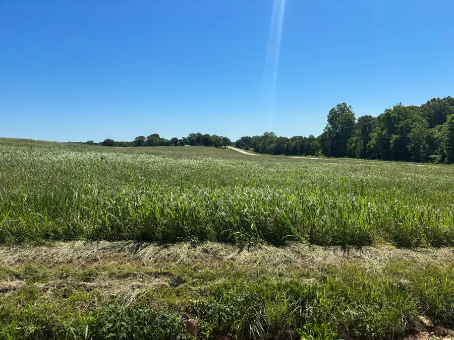 Tbd County Road 900, Theodosia, MO 65761 - #2