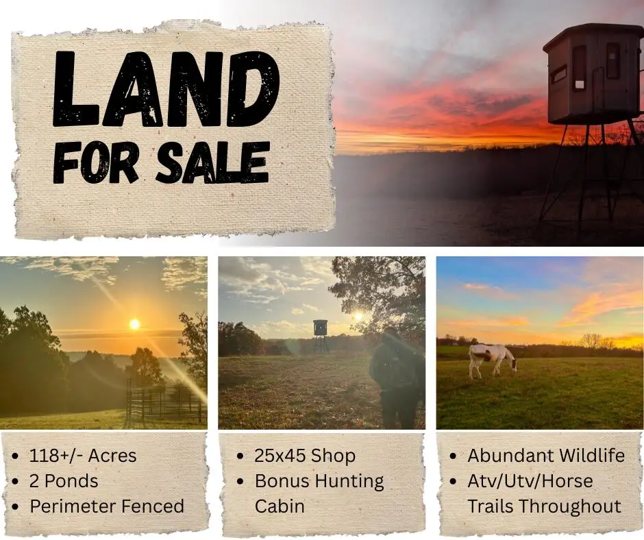 000 County Road 529, Ava, MO 65608 - #1