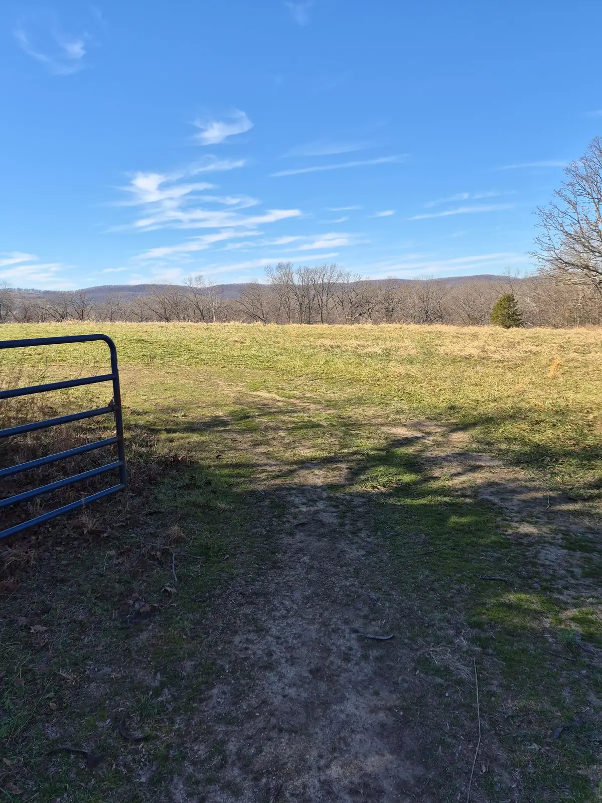 21513 Needles Eye Road, Shell Knob, MO 65747 - #1