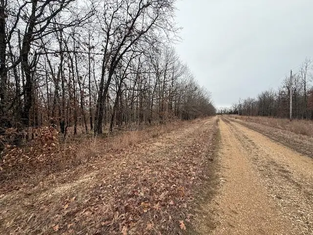 23.25 Acres Post Oak Road, Tunas, MO 65764 - #2