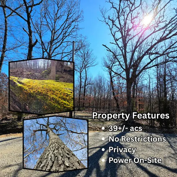 001 Abadyl Road, Fordland, MO 65652