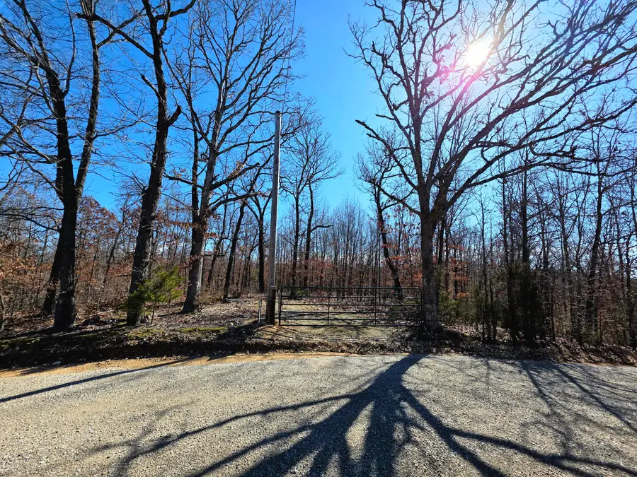 001 Abadyl Road, Fordland, MO 65652 - #2