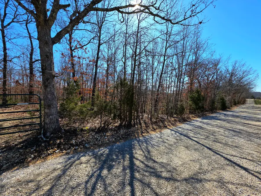 001 Abadyl Road, Fordland, MO 65652 - #3