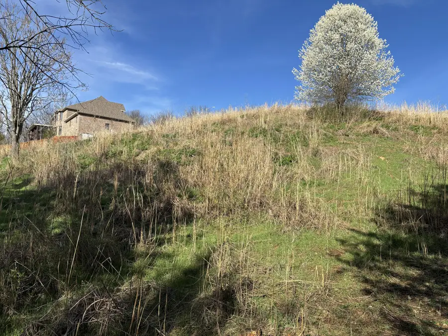 4615 S Luster Avenue, Springfield, MO 65804 - #3