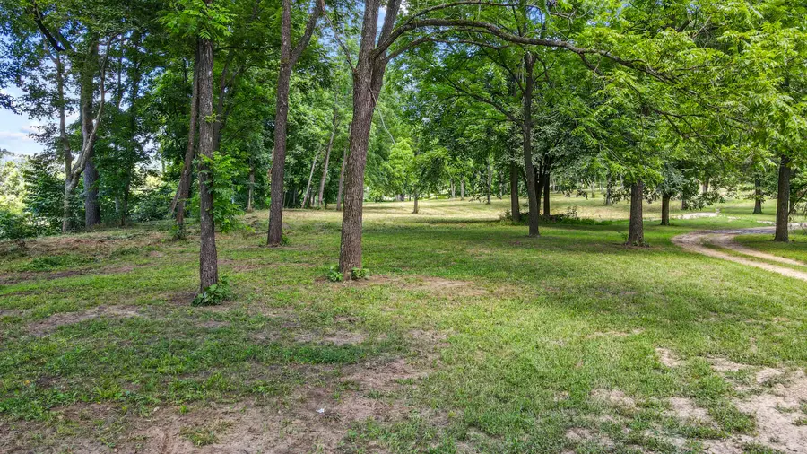 000 Blue Ribbon Landing #Lot 12, Pottersville, MO 65790 - #3