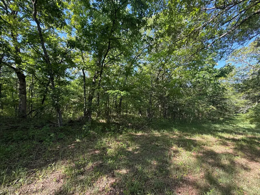 Tbd County Road 203, Wheatland, MO 65779 - #3