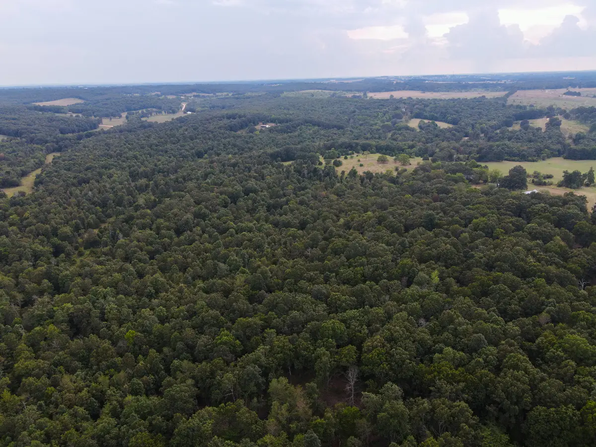 Tract 2 Co Rd 347, Koshkonong, MO 65692 - #1