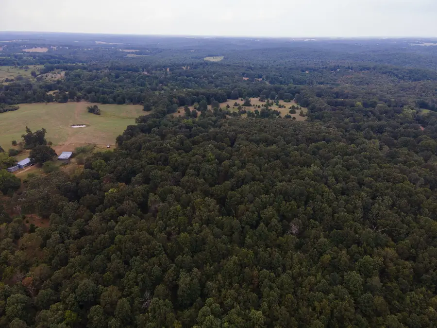 Tract 2 Co Rd 347, Koshkonong, MO 65692 - #3