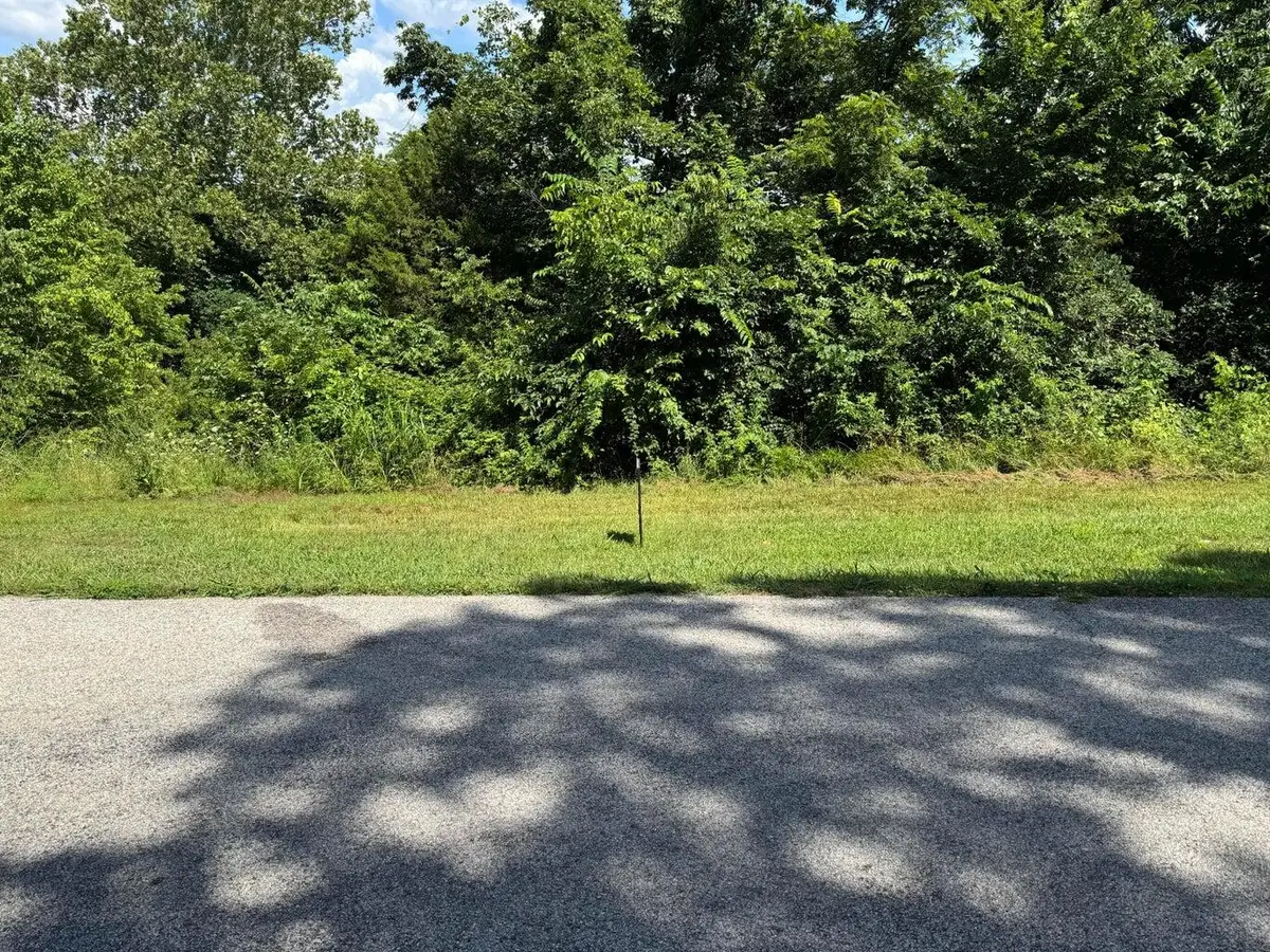 000 Lot 23 Blk 10, Eagle Rock, MO 65641 - #1