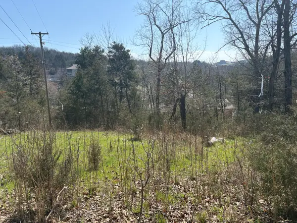 180 Green Briar Drive, Branson, MO 65616