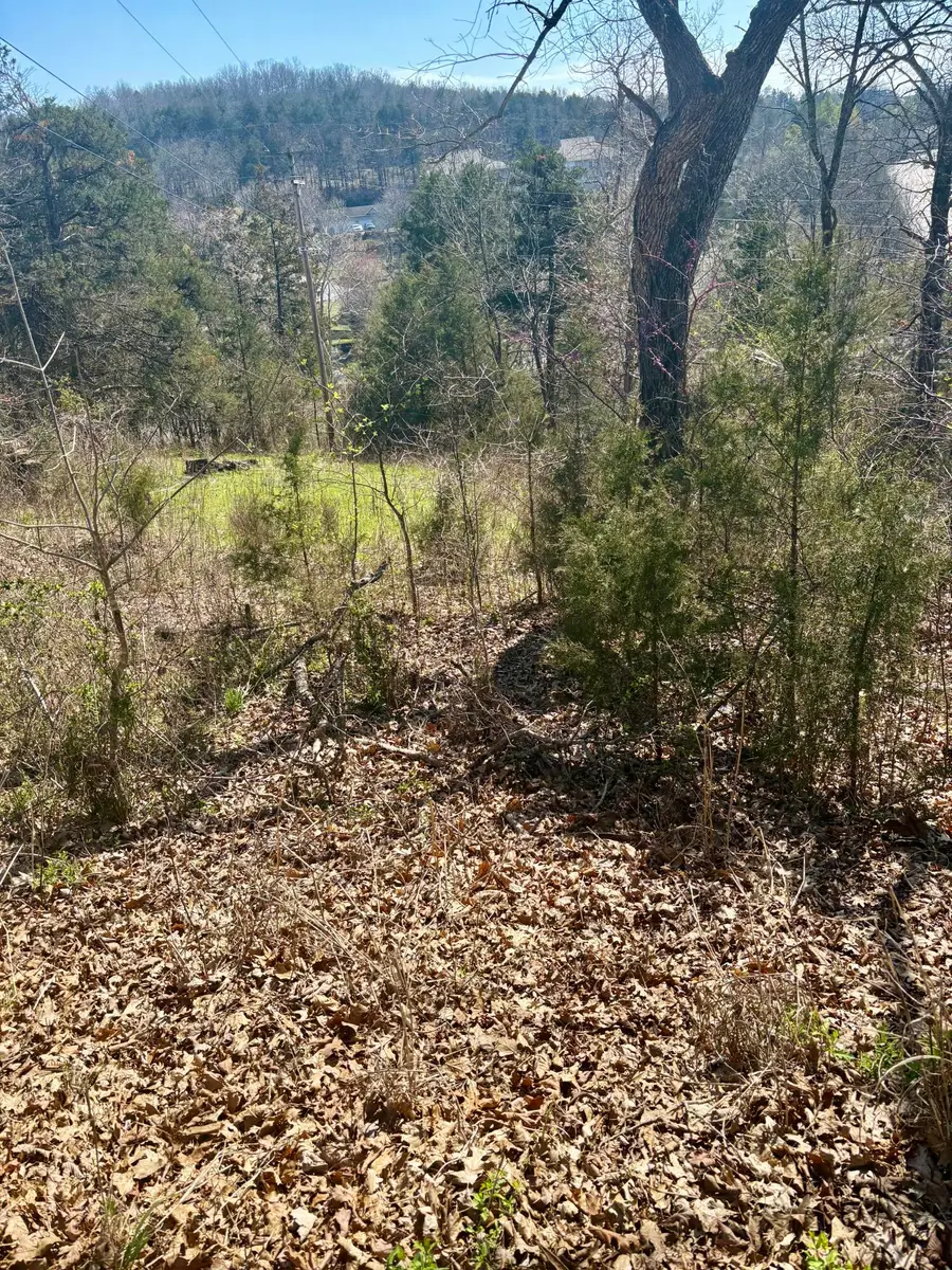 180 Green Briar Drive, Branson, MO 65616 - #2