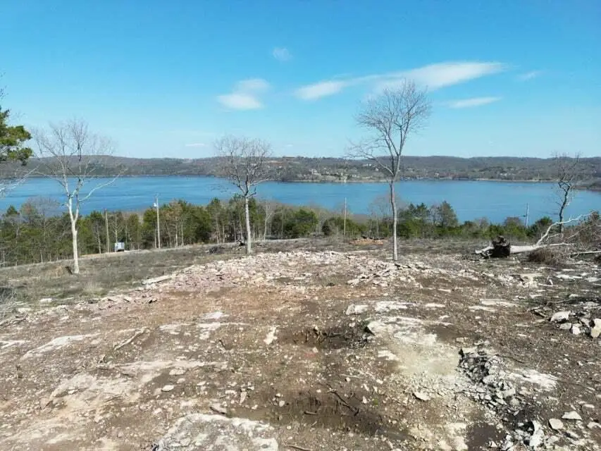 2022 Pokeberry Lane, Lampe, MO 65681 - #3