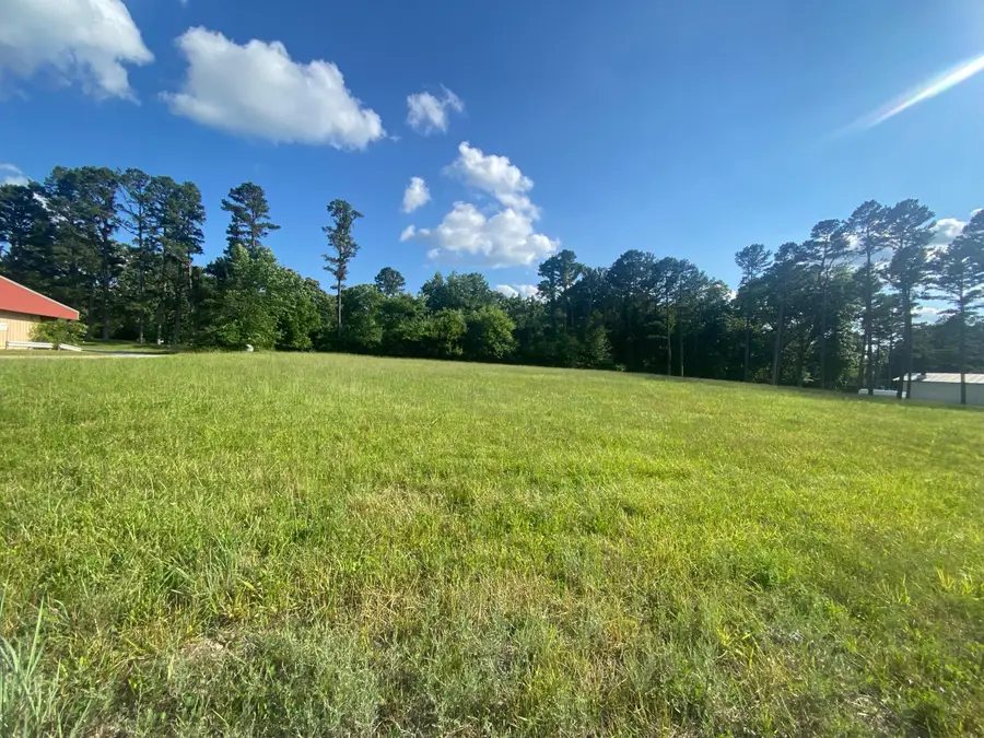 000 N Highway 17, Houston, MO 65483 - #2