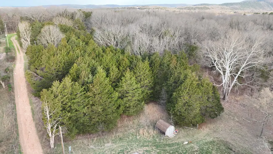 22626 Porcupine Lane, Golden, MO 65658 - #3