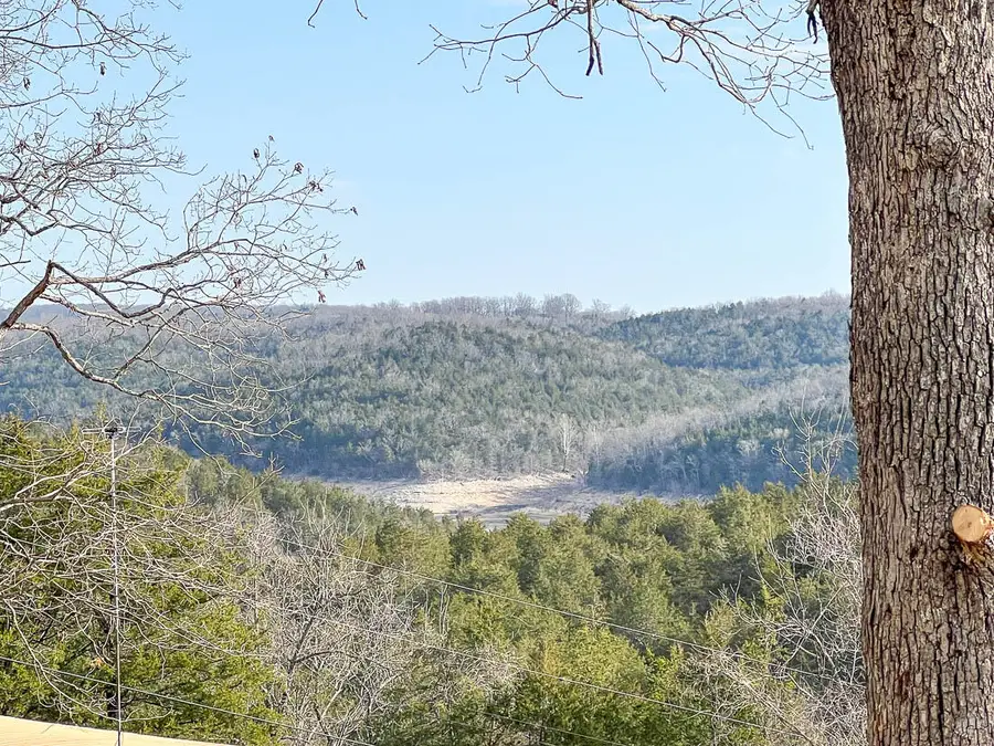 139 Cloverdale Circle, Theodosia, MO 65761 - #2