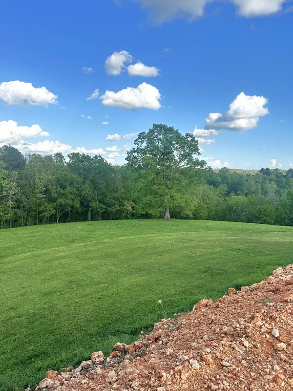 000 Hog Ridge Court, Noel, MO 64854