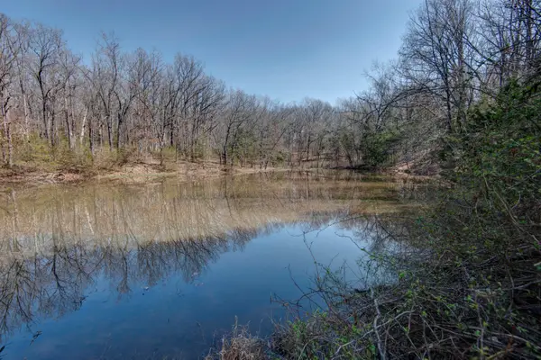 295 Woodstock Road, Elkland, MO 65644