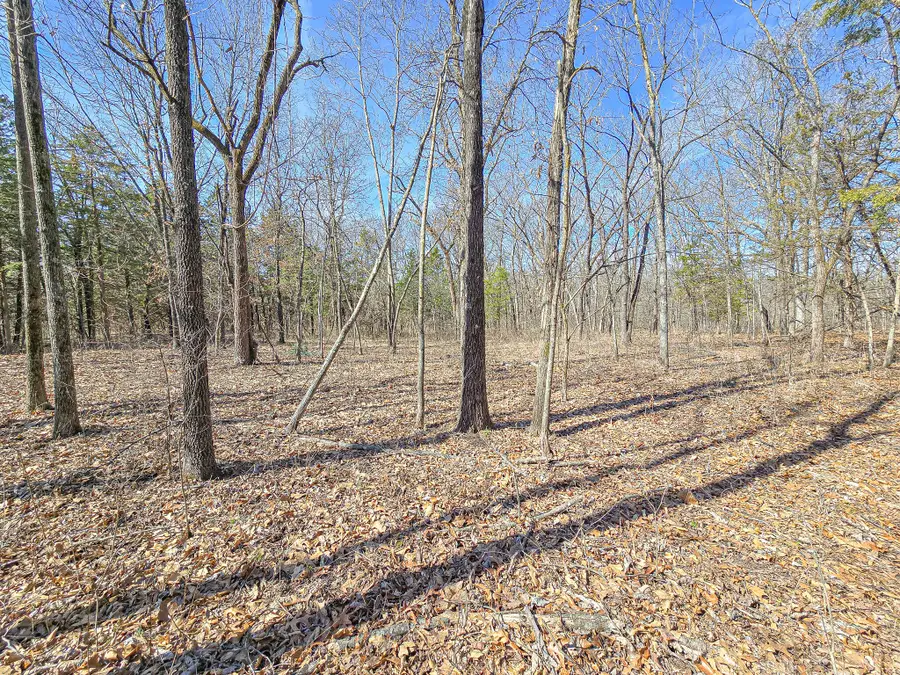 36950 White Rock Avenue, Warsaw, MO 65355 - #3