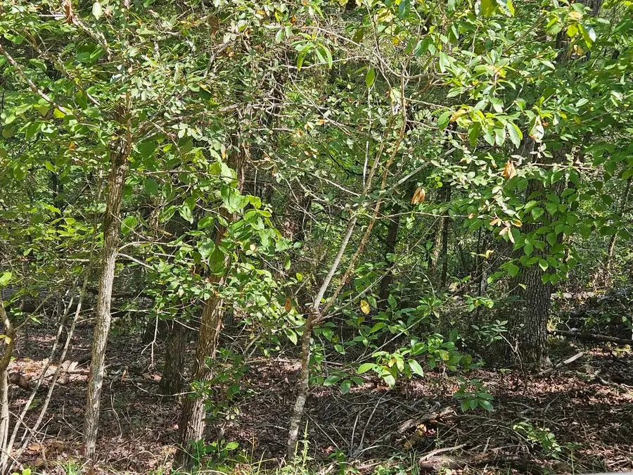 000 Crestwood Hills Blk 5 Lot 35, Isabella, MO 65676 - #3