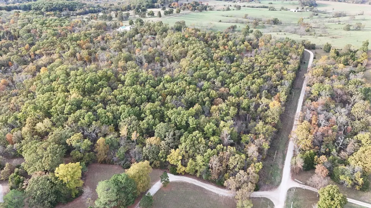 000 SE 451 Road, Collins, MO 64738 - #1