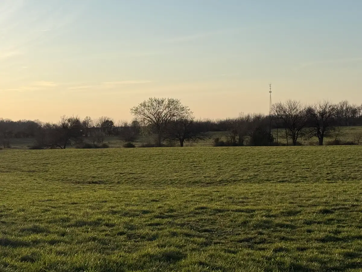 000 Lawrence 1175, Mount Vernon, MO 65712 - #1