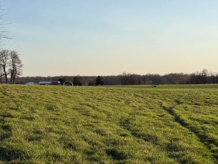 000 Lawrence 1175, Mount Vernon, MO 65712 - #3