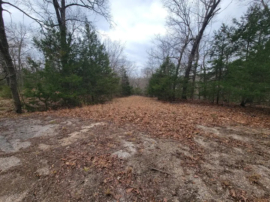 000 Lost Mine Road, Theodosia, MO 65761 - #2