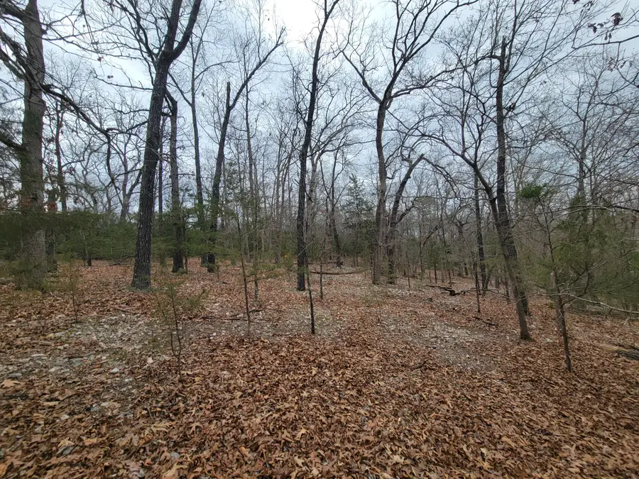 000 Lost Mine Road, Theodosia, MO 65761 - #3