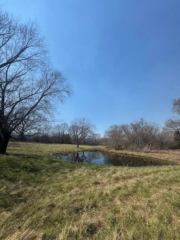 27767 Farm Rd 1075, Seligman, MO 65745 - #2