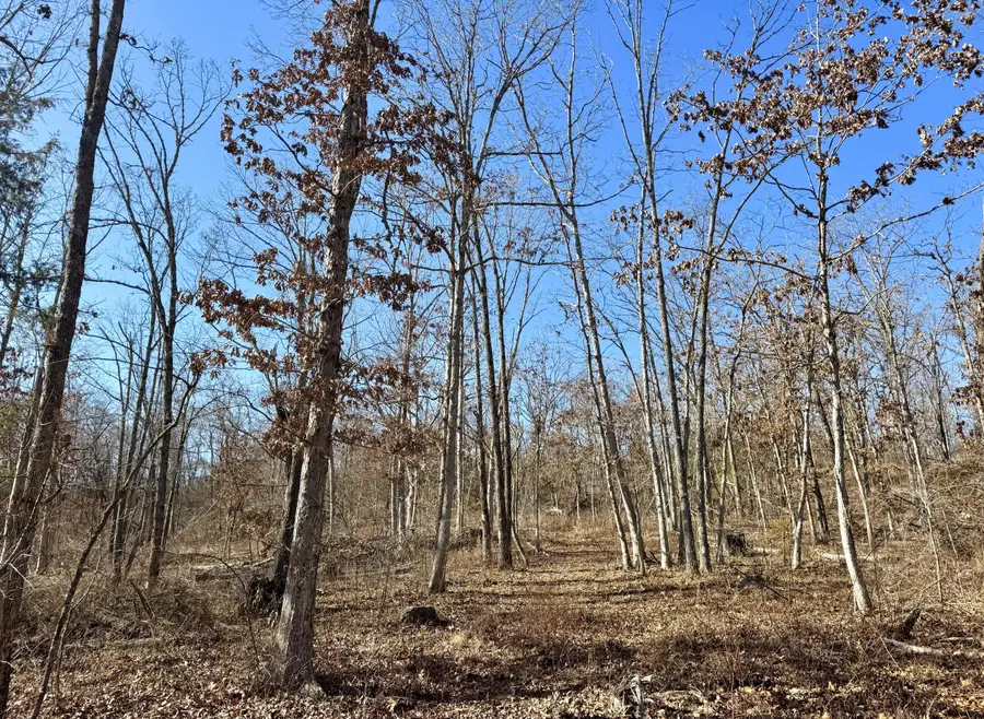 000 Hart Road, Macomb, MO 65702 - #3