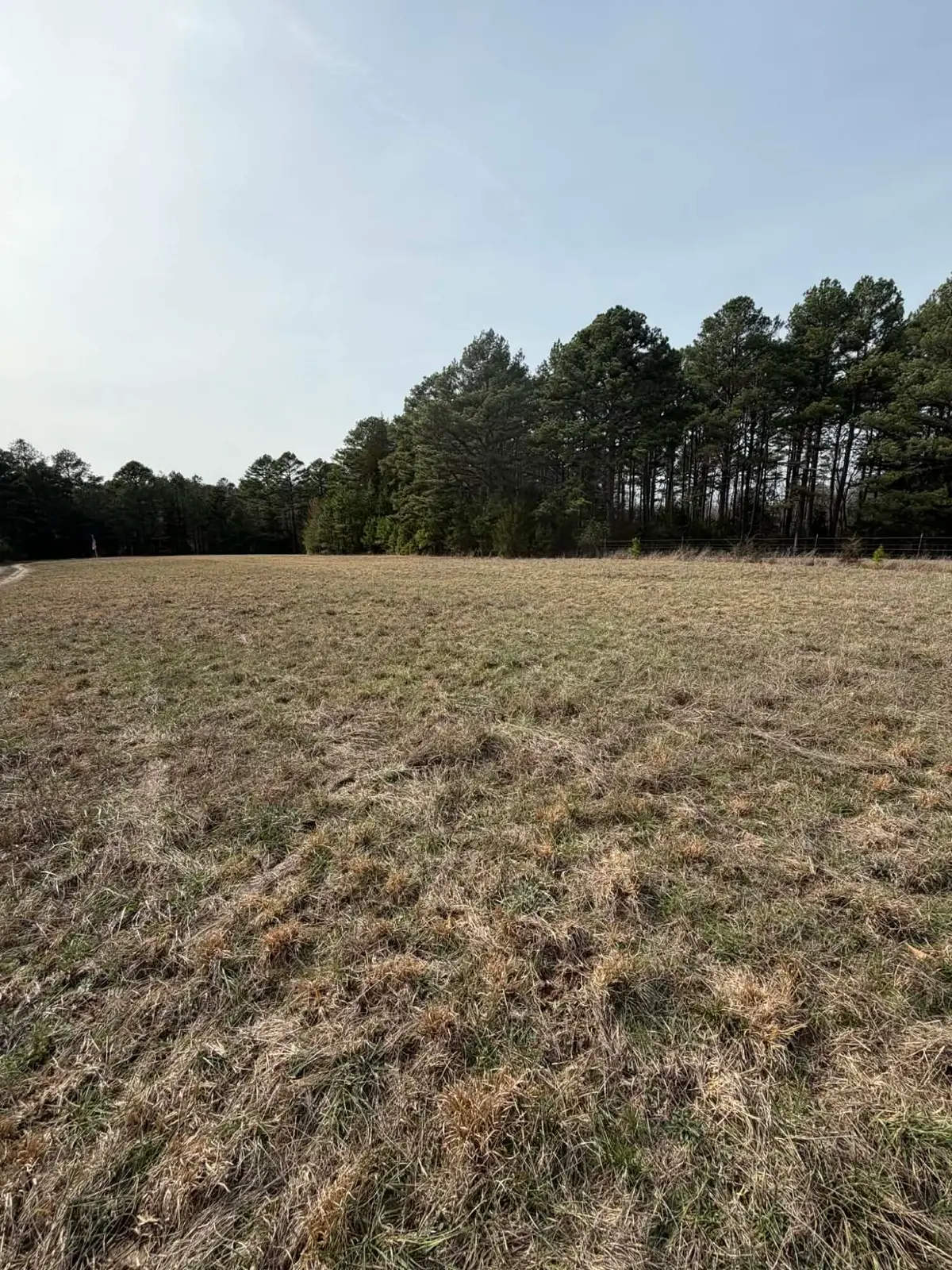 3528 County Road E14-329, Ava, MO 65608 - #1