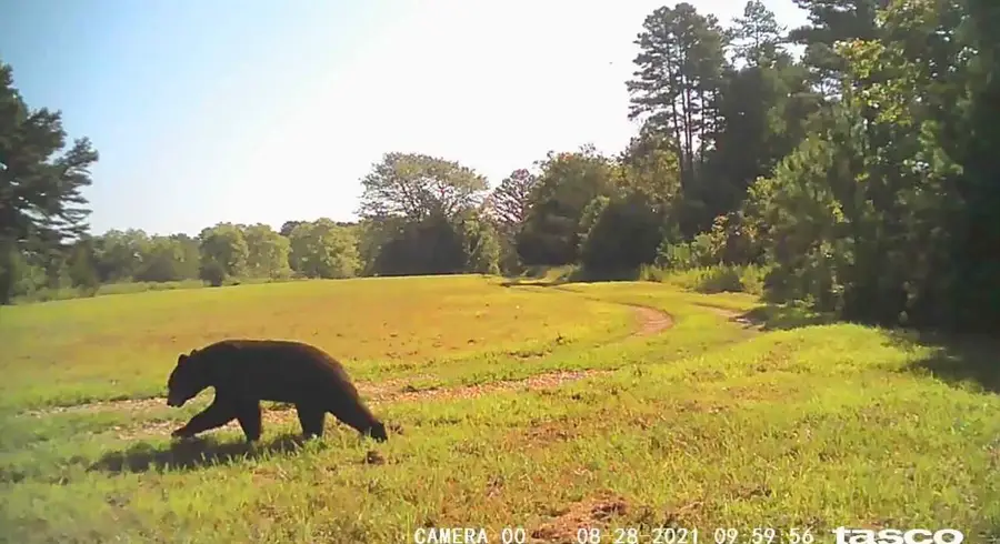 3528 County Road E14-329, Ava, MO 65608 - #2