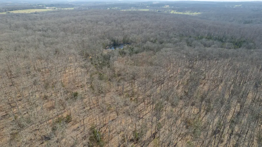 1 State Highway 38, Elkland, MO 65644 - #3