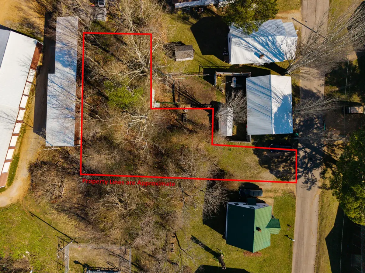 1205 Ozark Street, Cabool, MO 65689 - #1