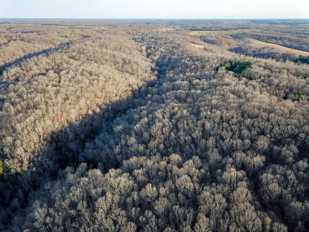 2552 State Highway V, Stella, MO 64867 - #1