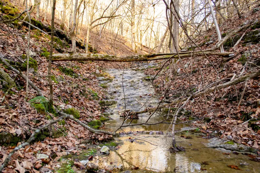 2552 State Highway V, Stella, MO 64867 - #3