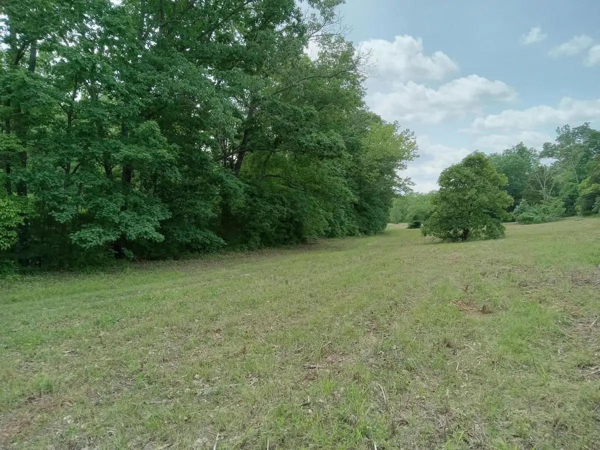 000 Box 110 Rr2, Mansfield, MO 65704 - #1