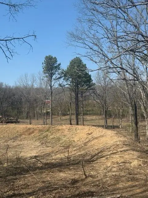 000 U.s. 160, West Plains, MO 65775 - #2