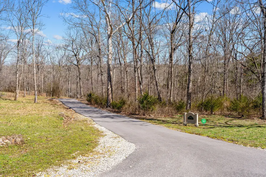 27345 Farm Road 1250, Golden, MO 65658 - #3