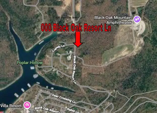 000 Black Oak Resort Lane, Lampe, MO 65681 - #2
