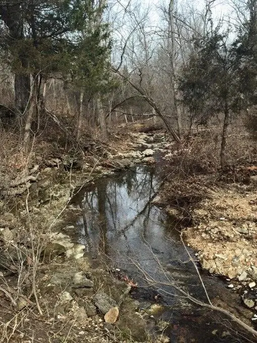 Tbd Foxtail Trail, Louisburg, MO 65685 - #3