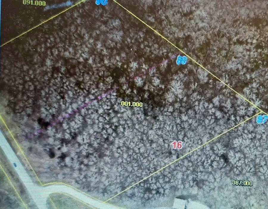 89 & 90 Forest View Court, Cape Fair, MO 65624 - #2